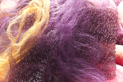 ESTHETIQUE VISUELLE & TACTILE