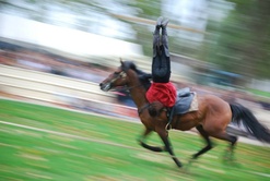A CHEVAL SUR L'ETE