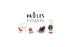 DROLES D'OISEAUX