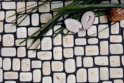 DE LA GRAINE A LA MOSAIQUE, LA MOSAIQUE EN GRAINE.