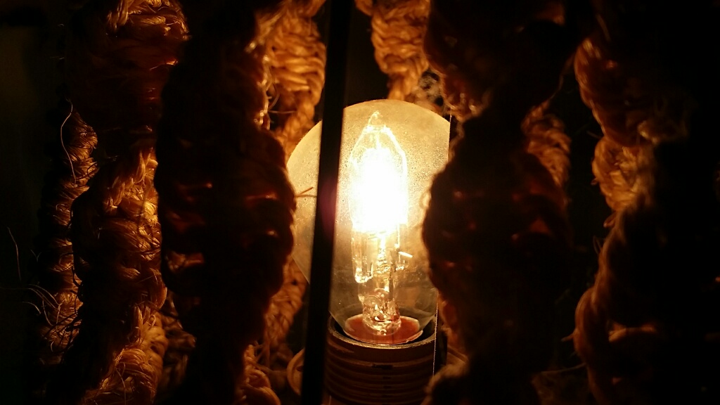 l'ampoule ficelle