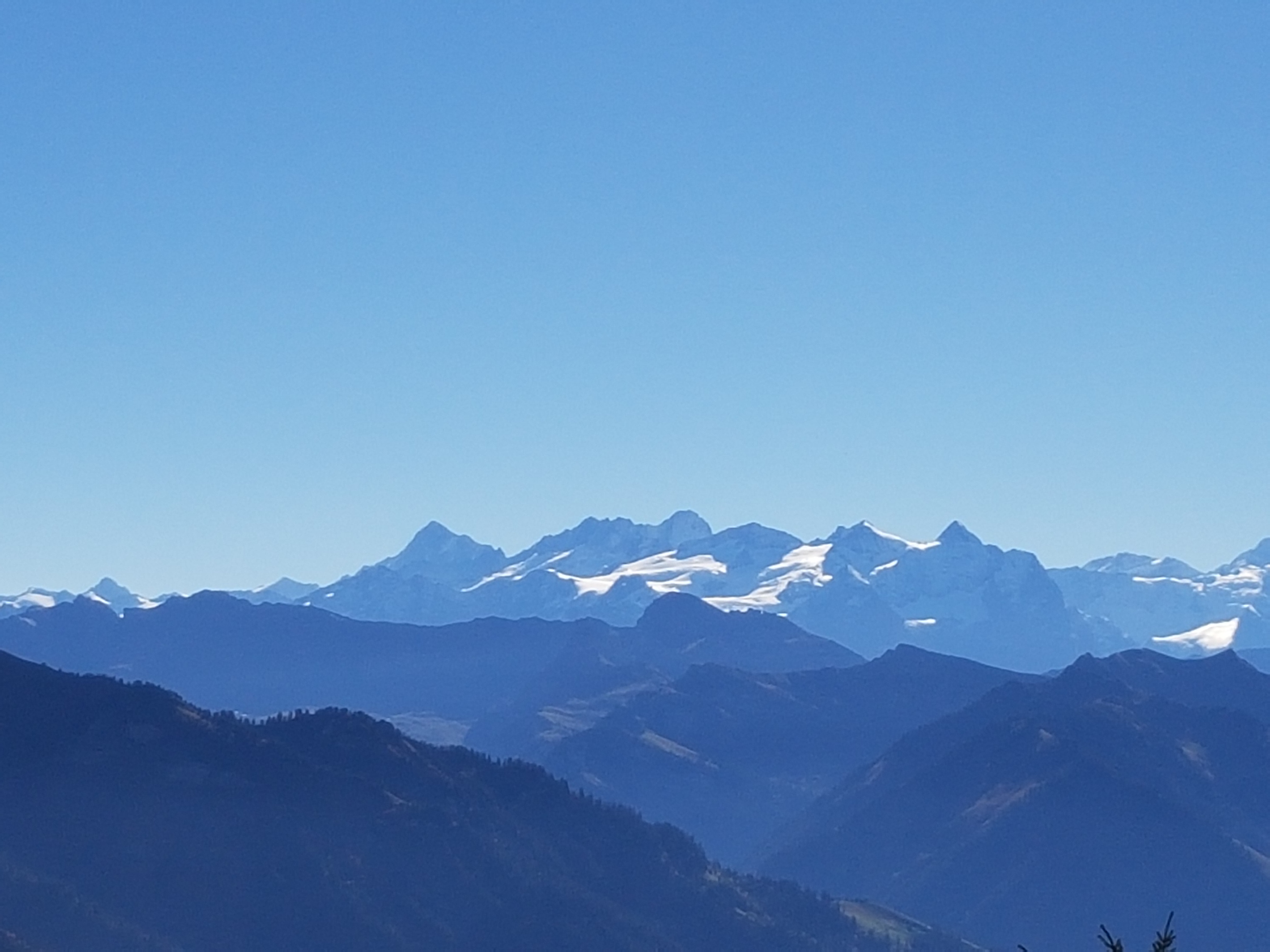 Récompense à l'arrivée