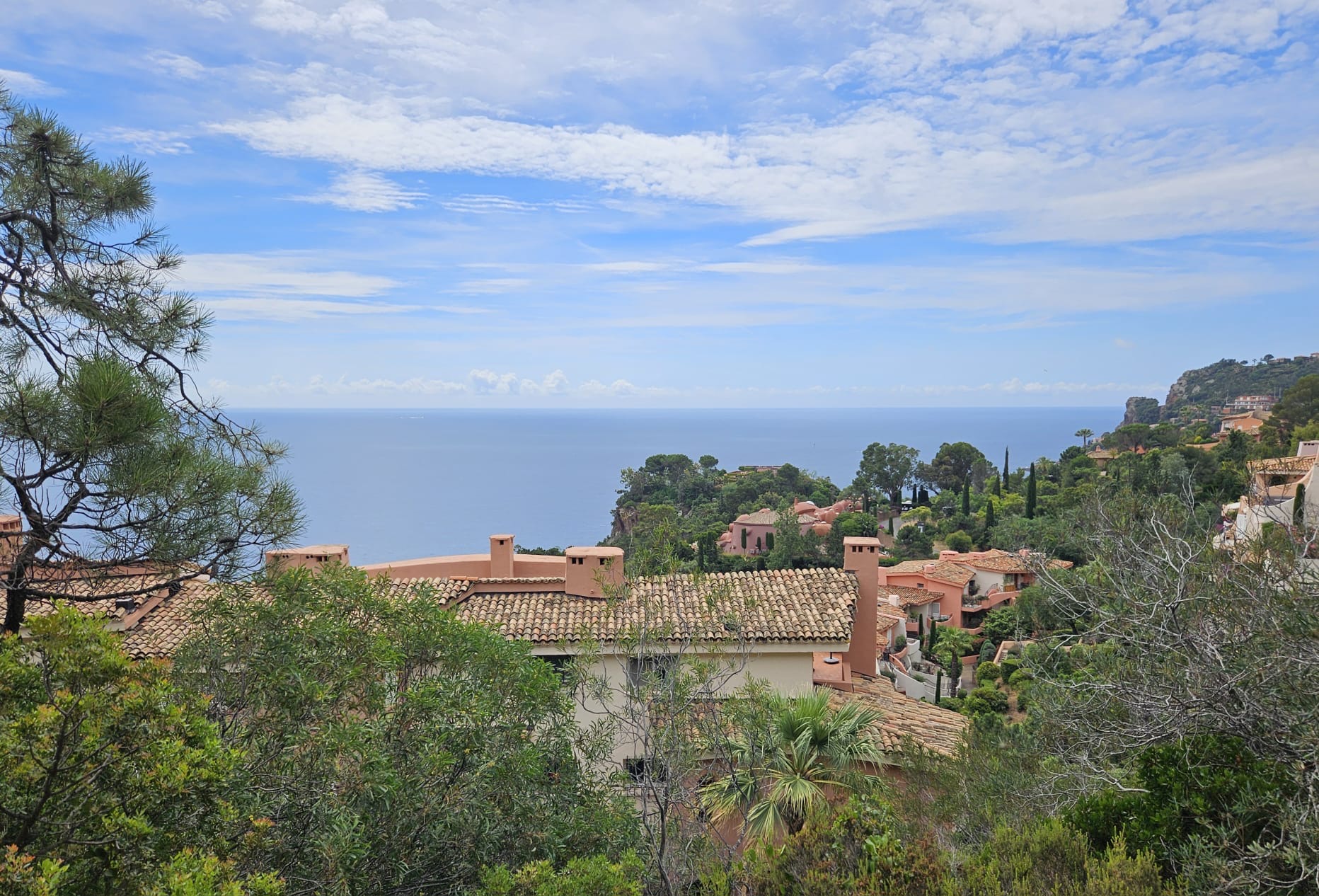 Le paysage