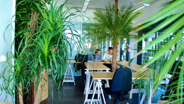 BTCOWORKING