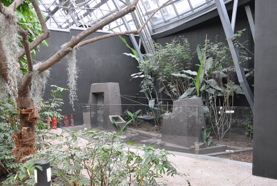 vivarium serre fourmis