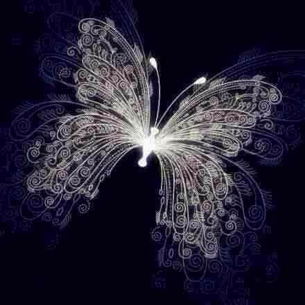 Papillon