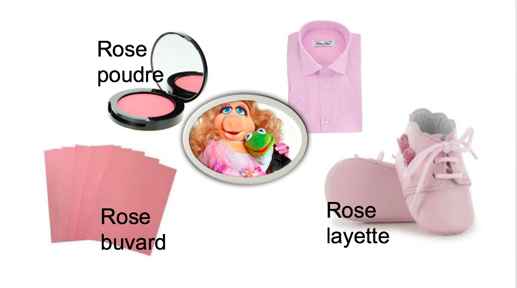Variantes de rose
