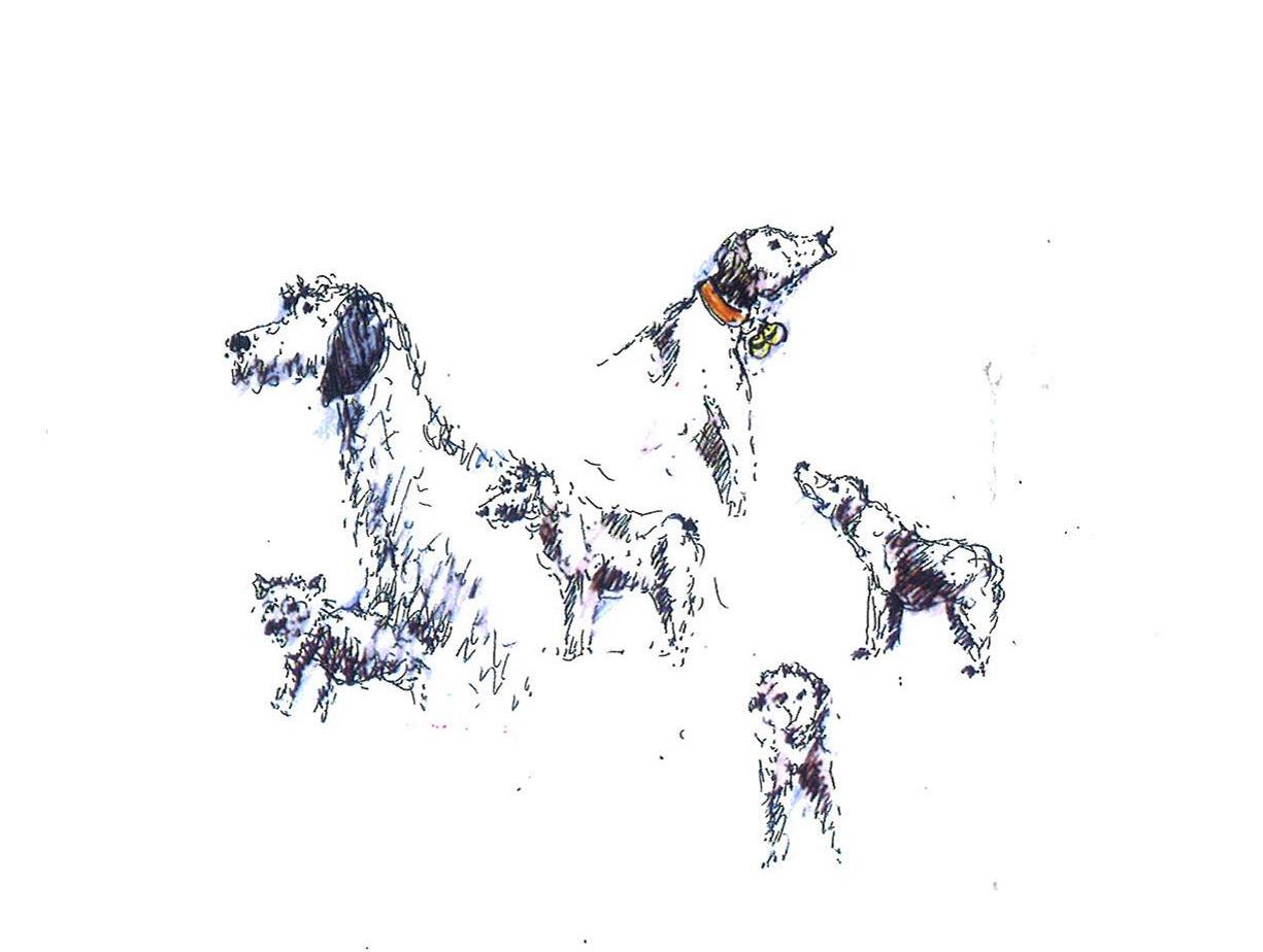 CHIENS