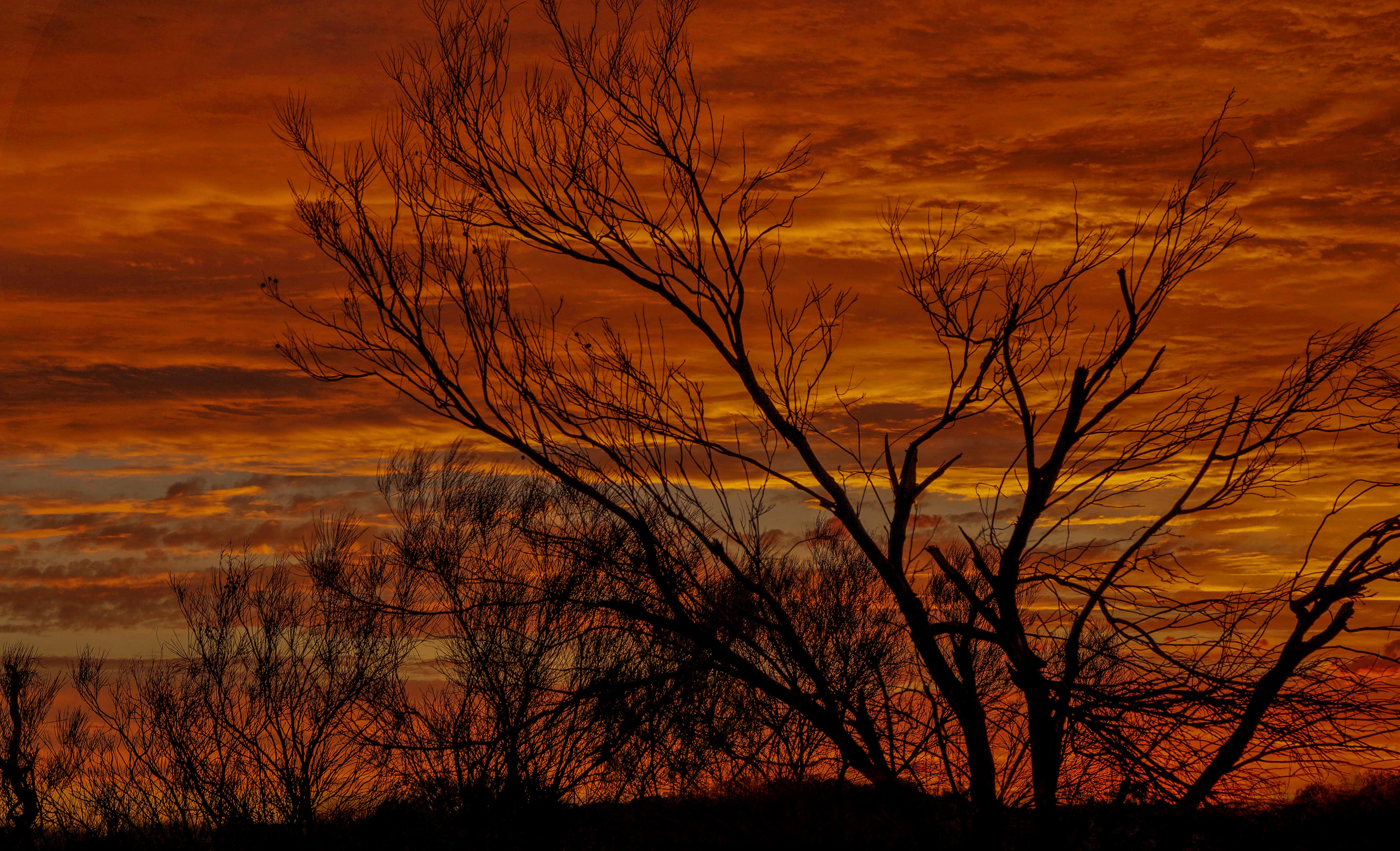 Colors of Firea