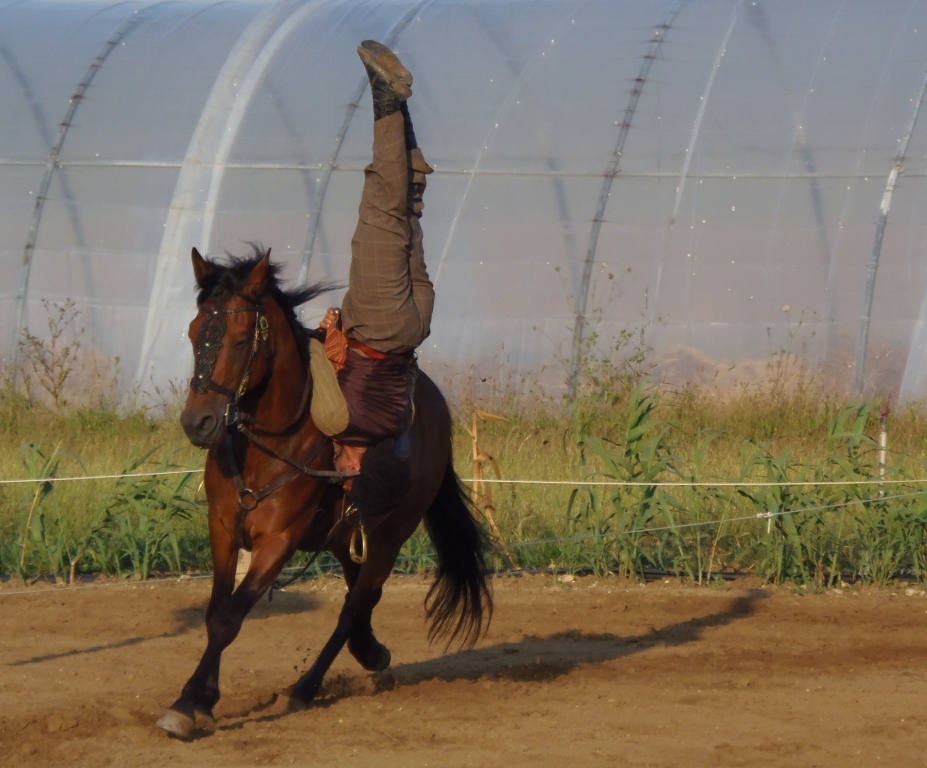 Equilibre confiant