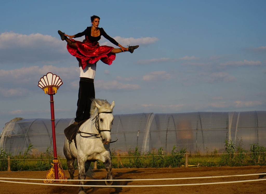 Equilibre fugace