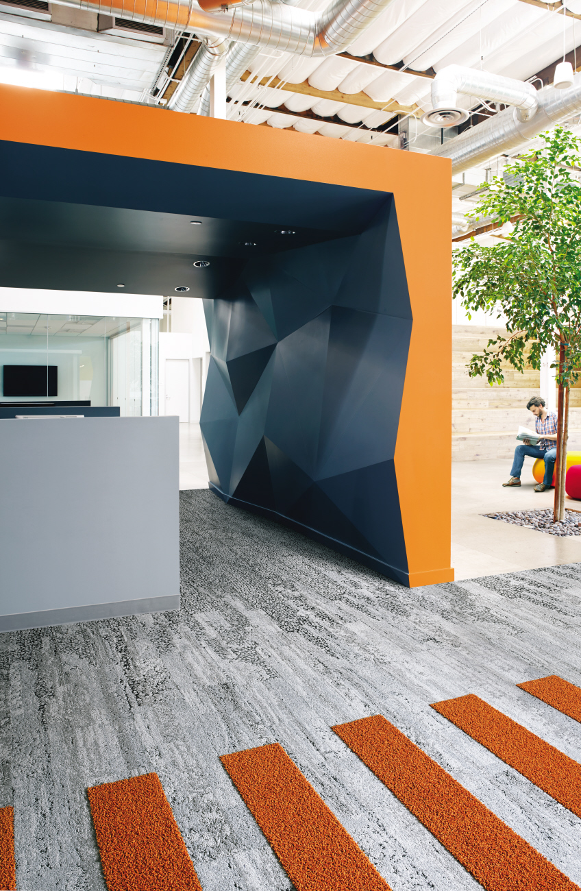 HN810 et HN 830 clementine
