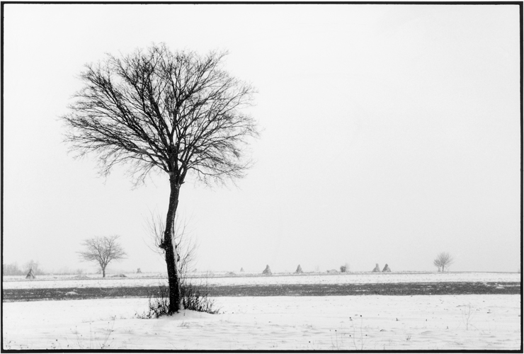 Hiver au Nord de Nich Serbie