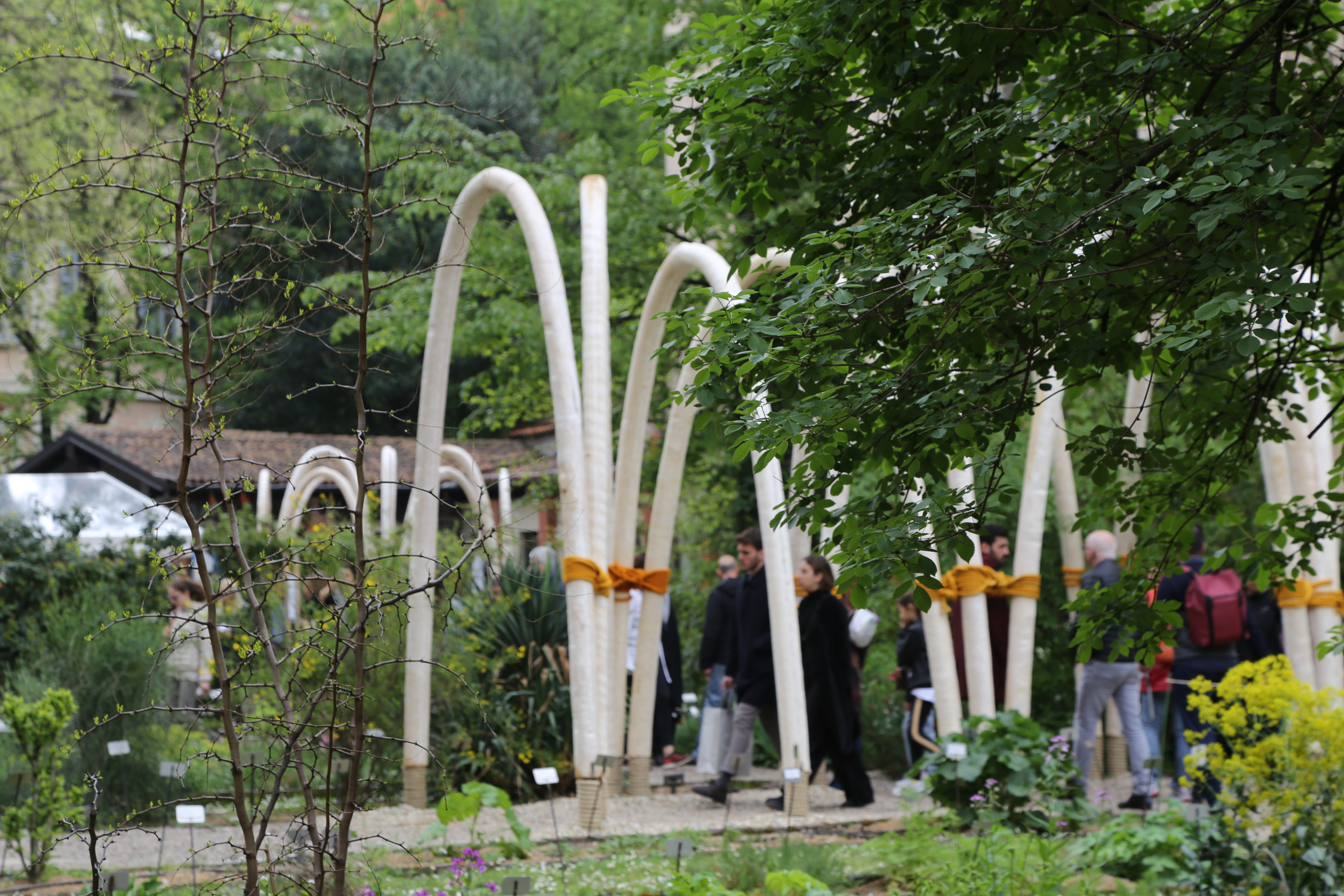 Installation dans le jardin école d'architecture