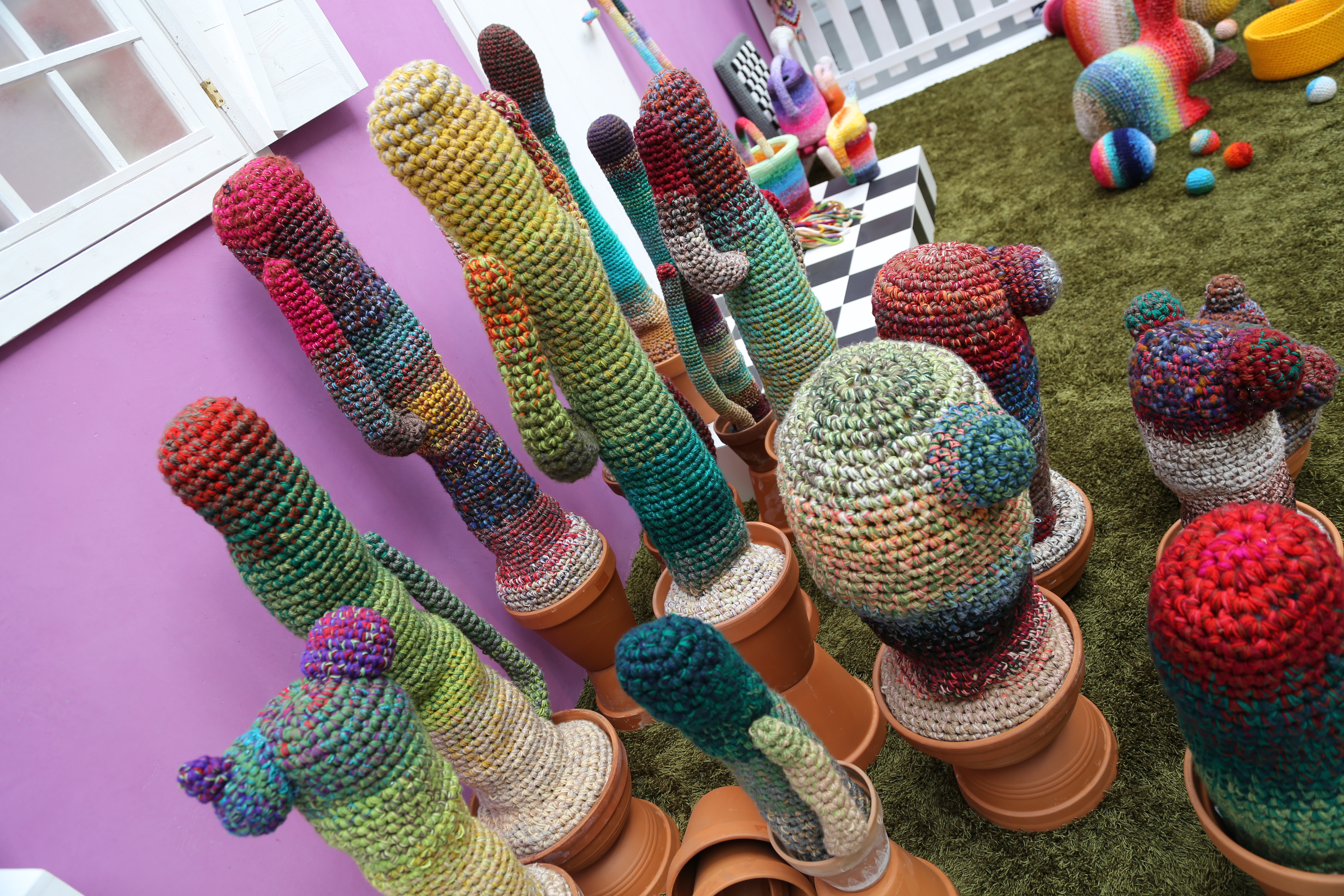 Les cactus