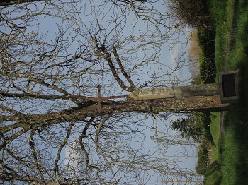 Un crucifix dans la Sarthe