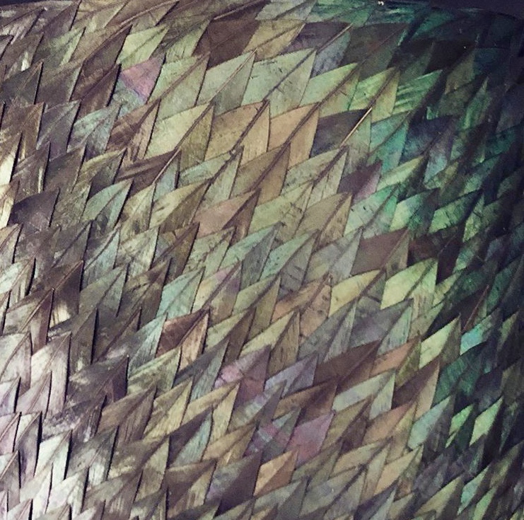 Plumes