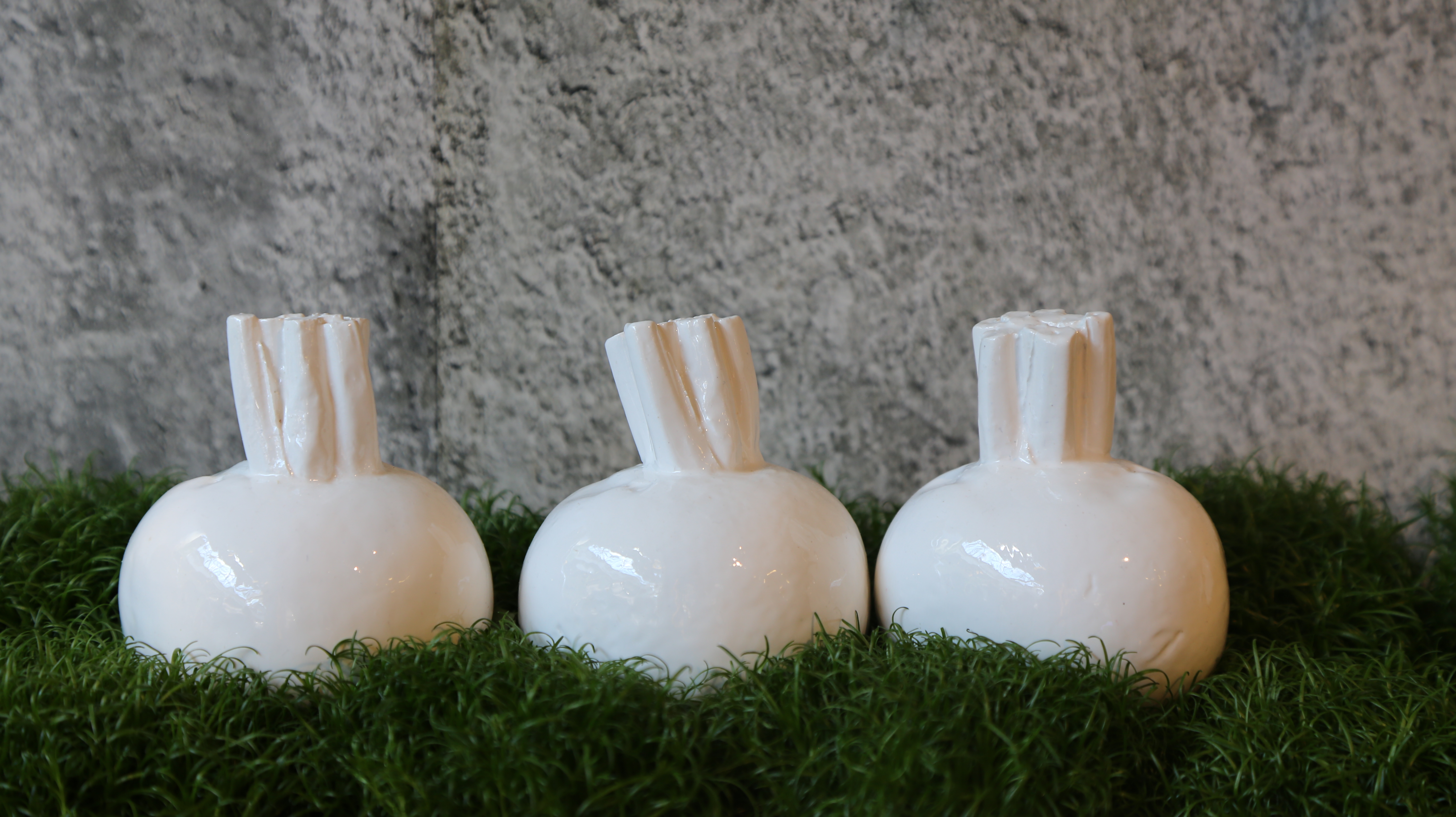 Petits légumes blancs