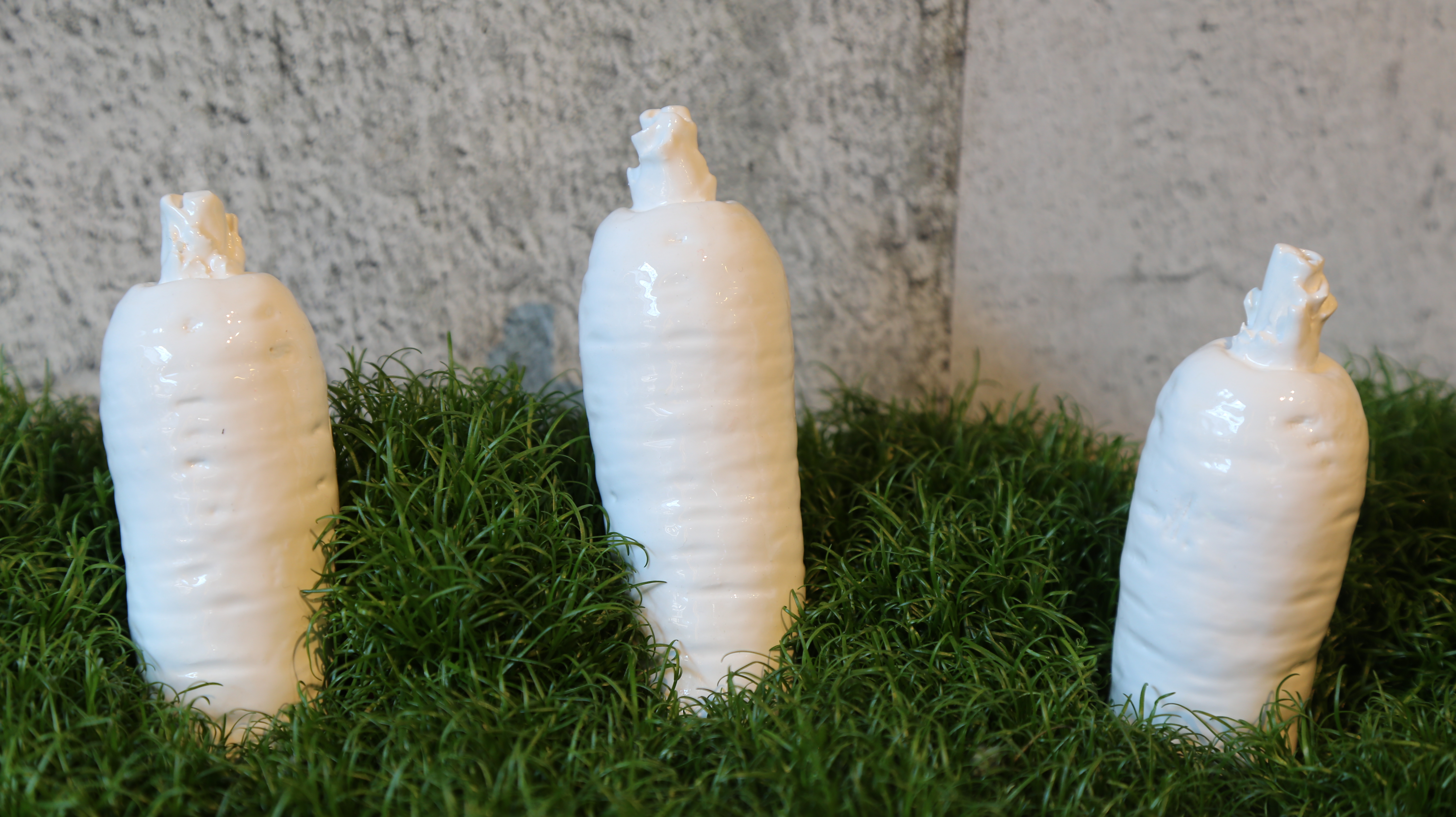 Blanches carottes