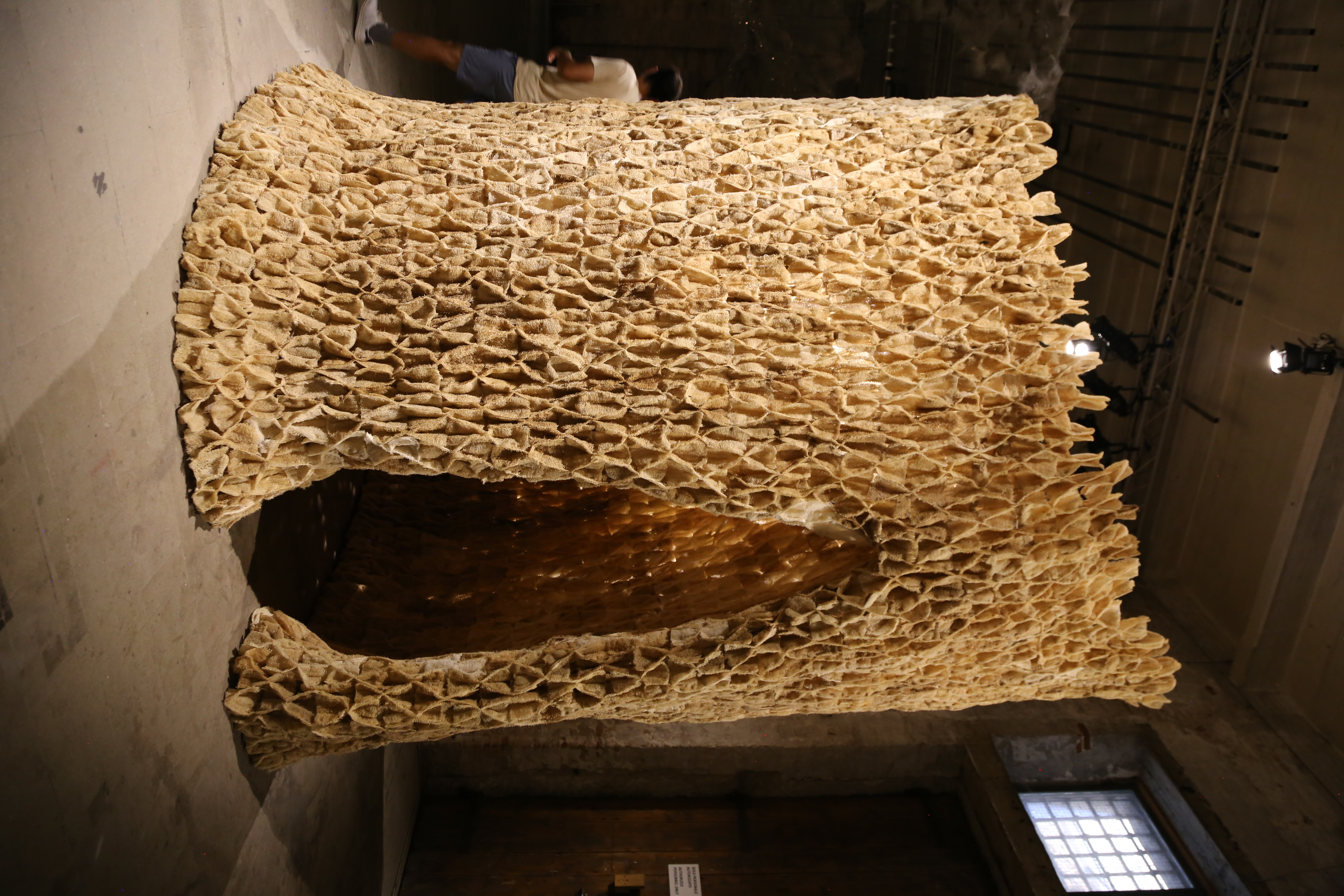 Biennale de Venise