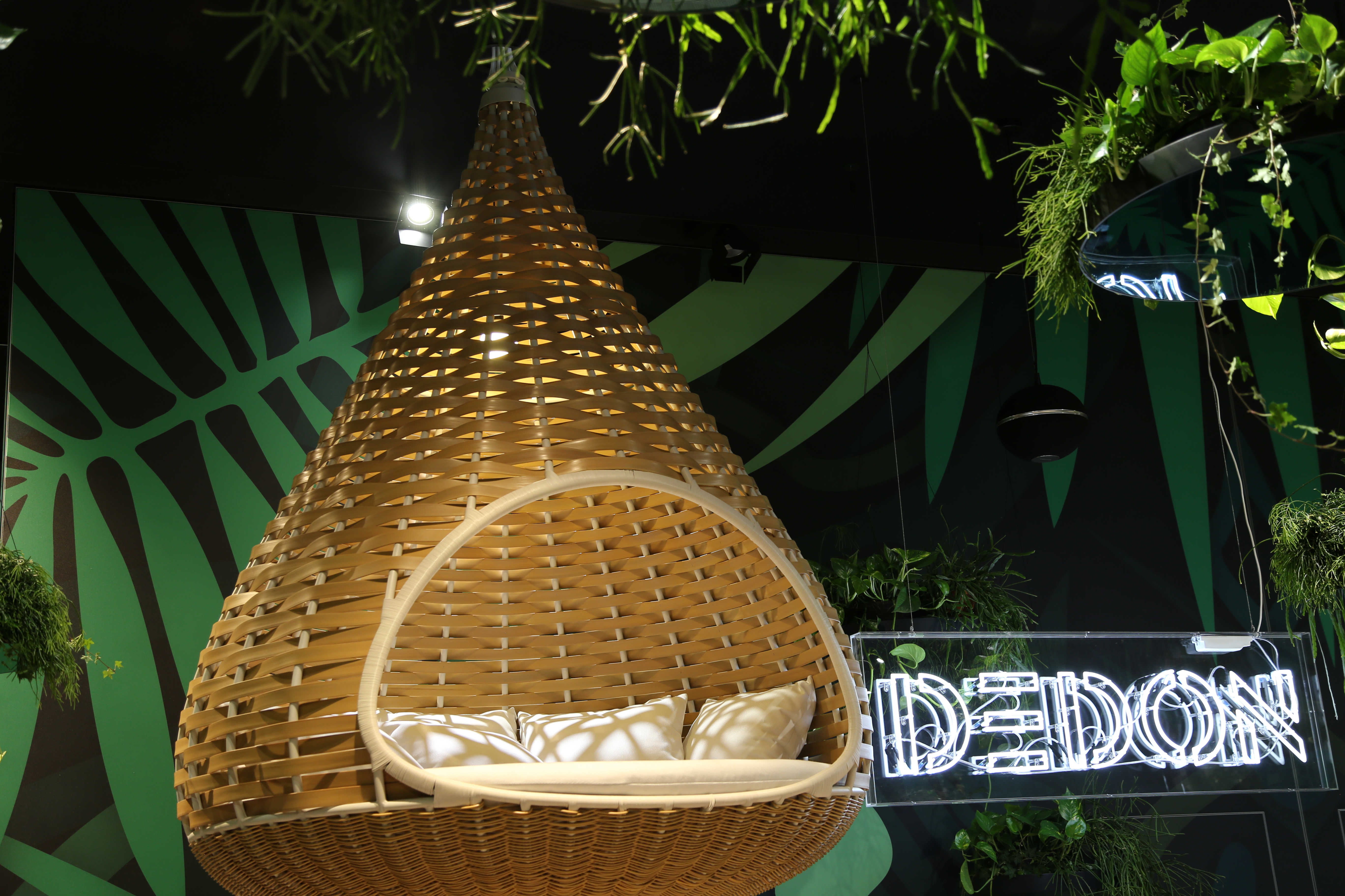 Dedon