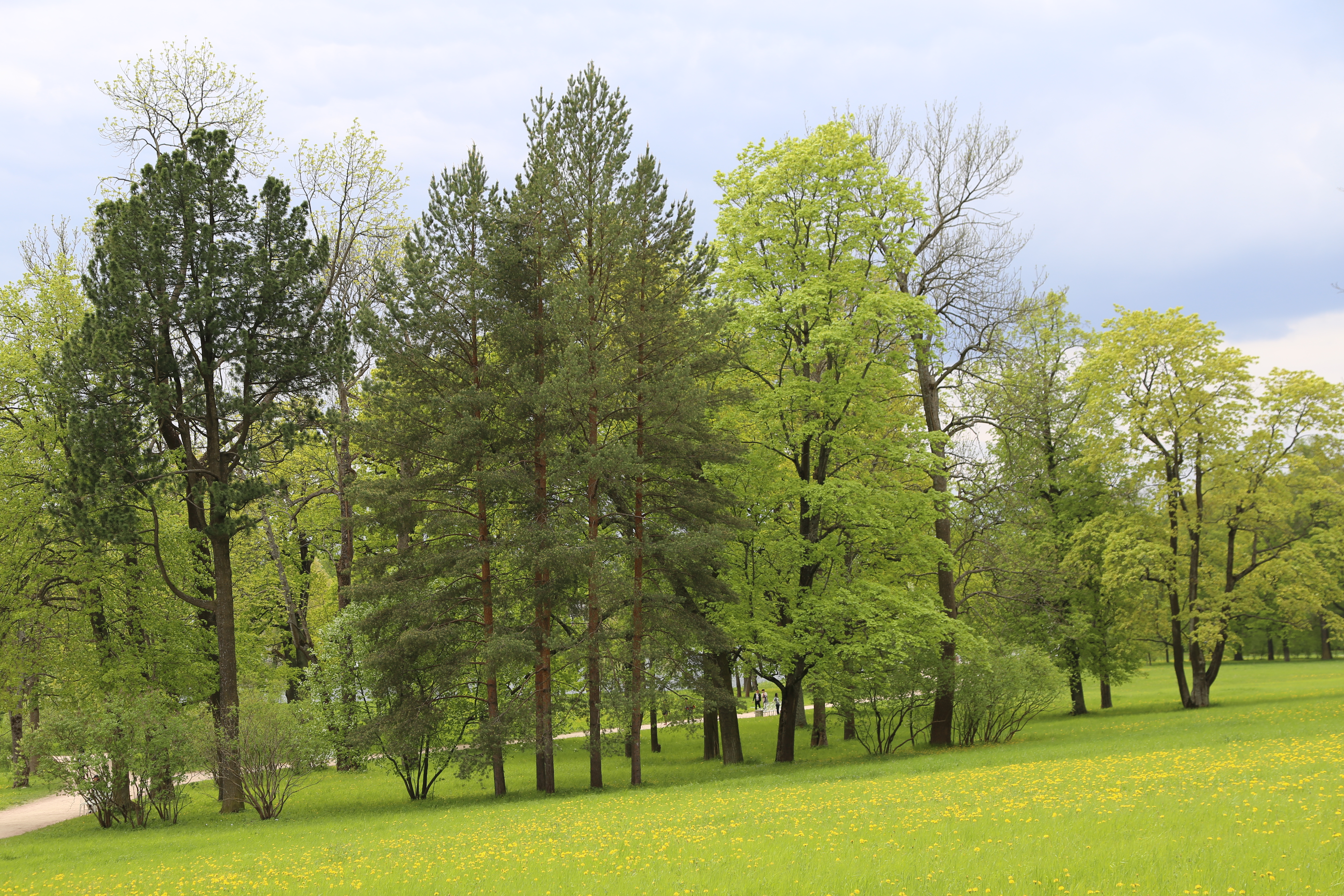Le Parc