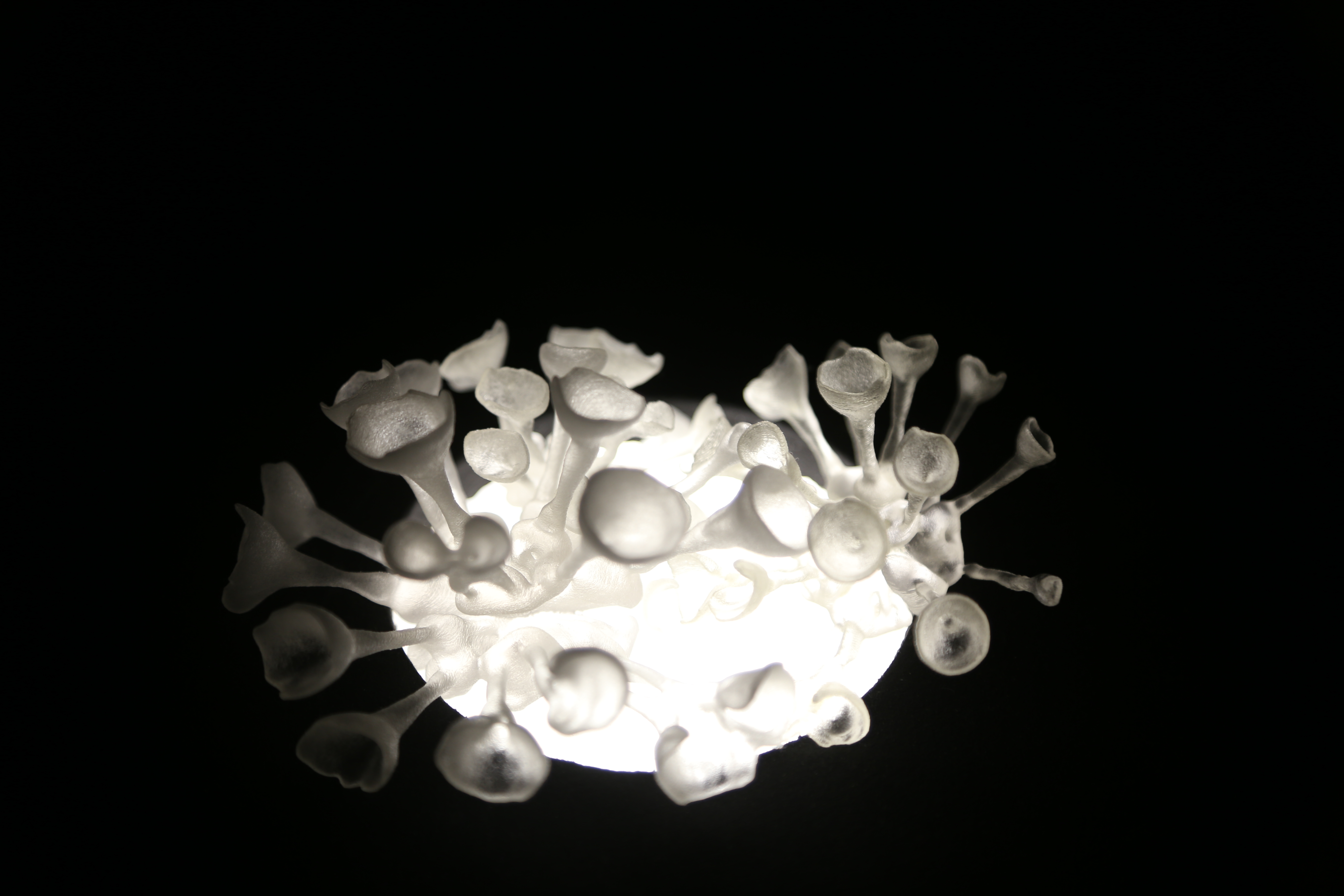 Céramique corail