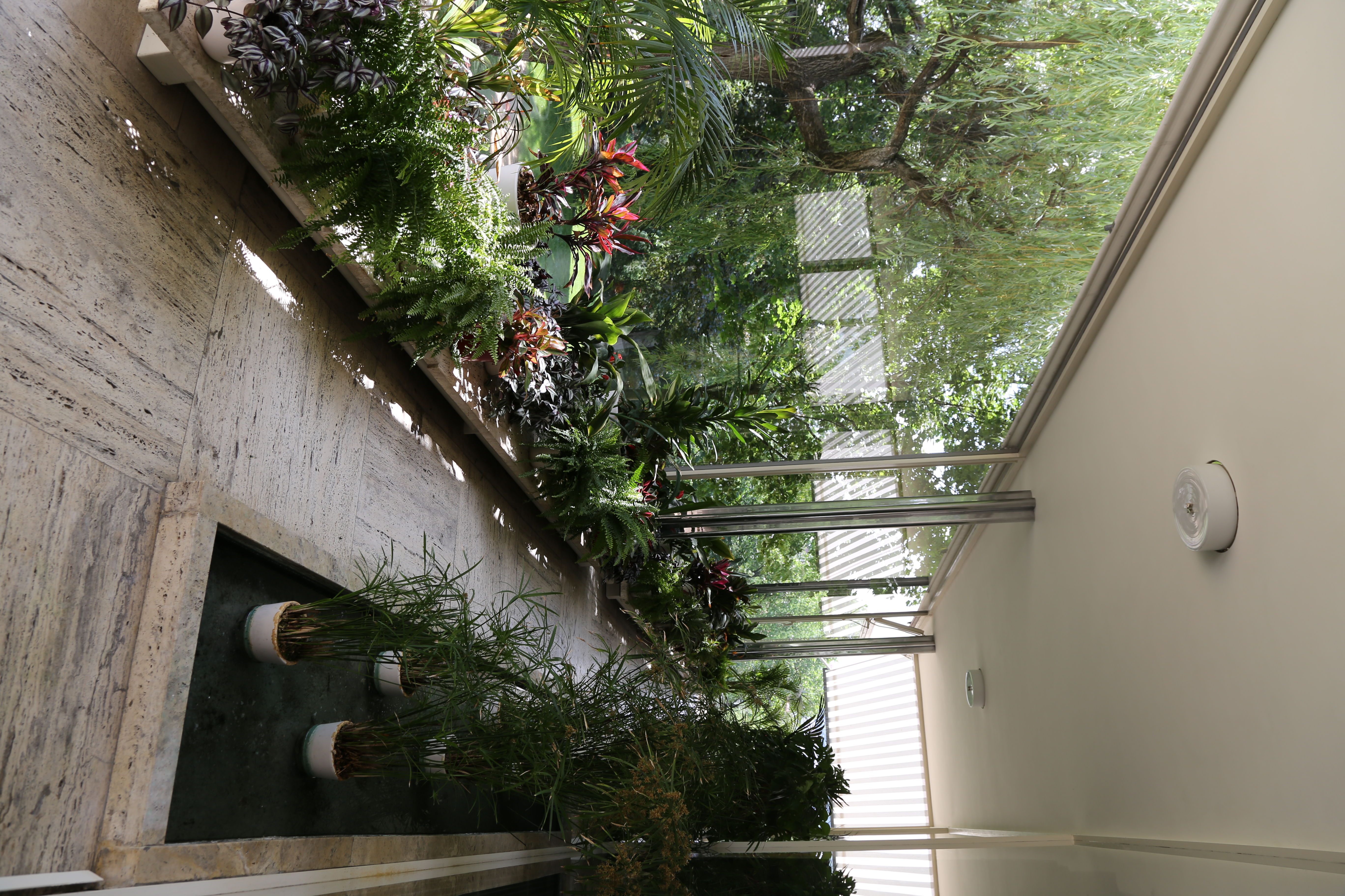 Jardin d'hiver