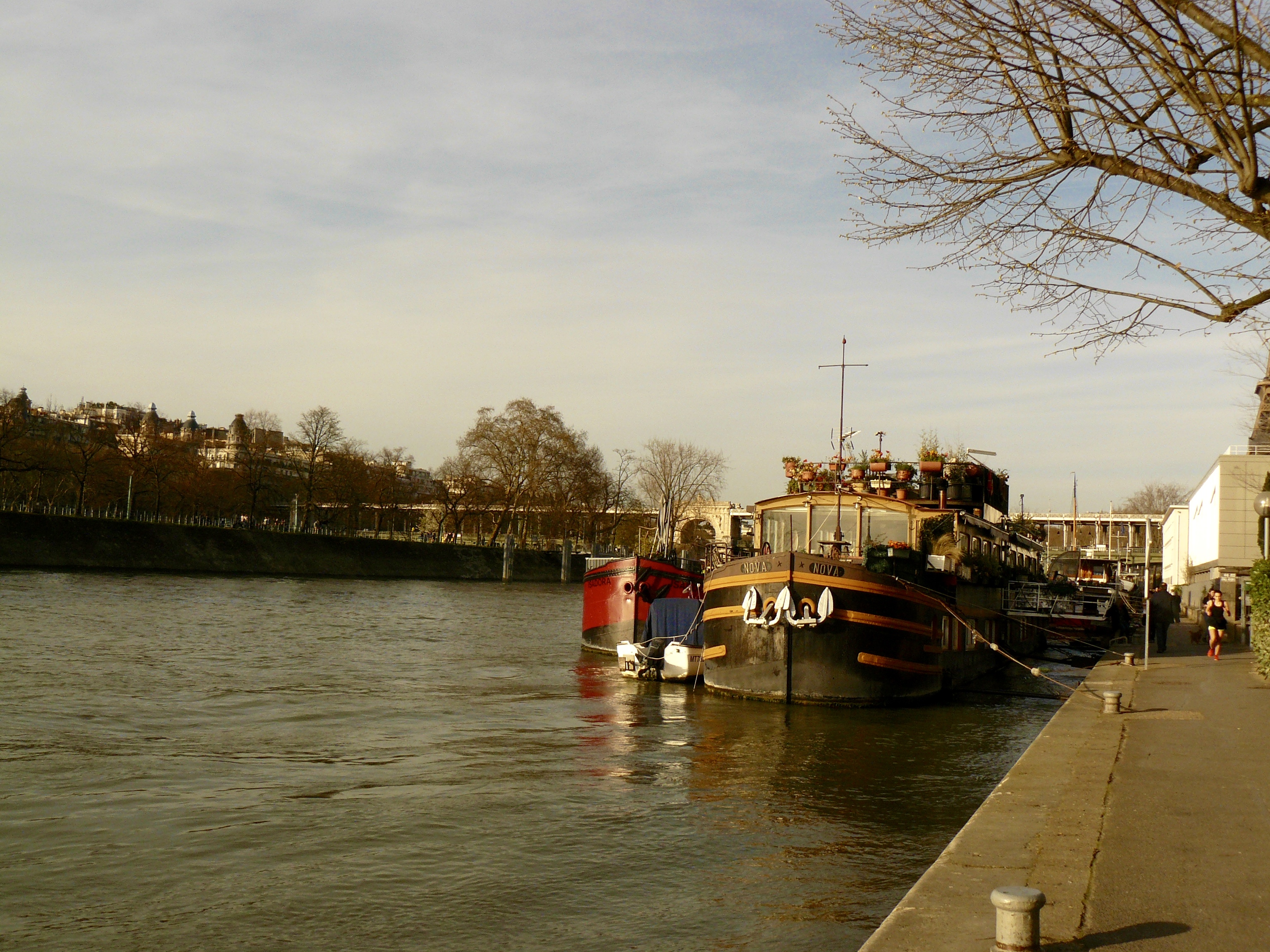Seine à Paris