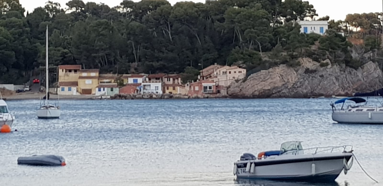 Près du rivage