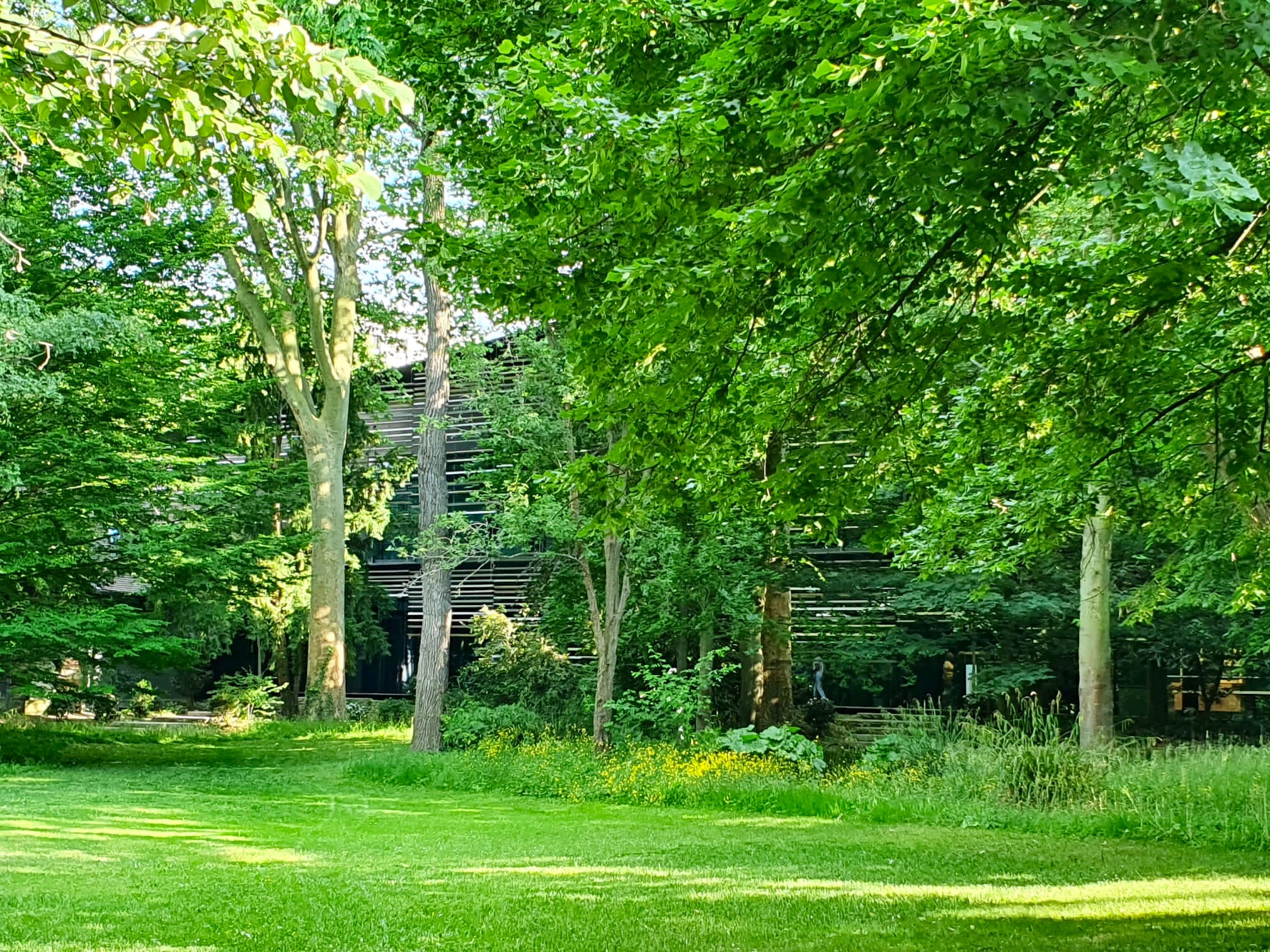 Jardin