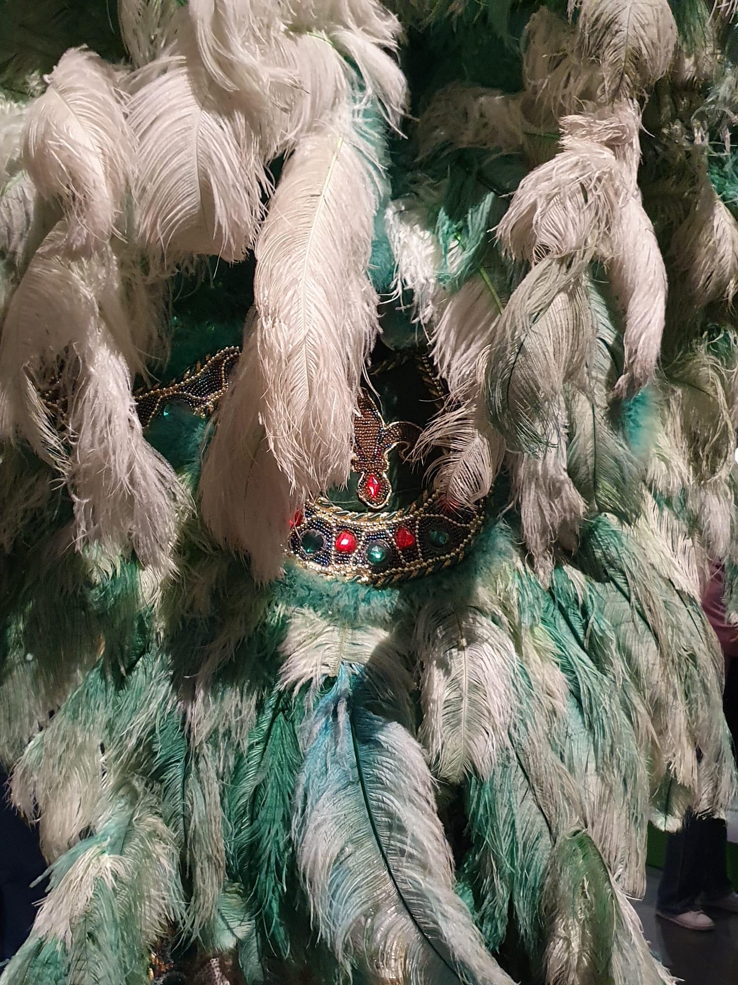 Detail en plumes