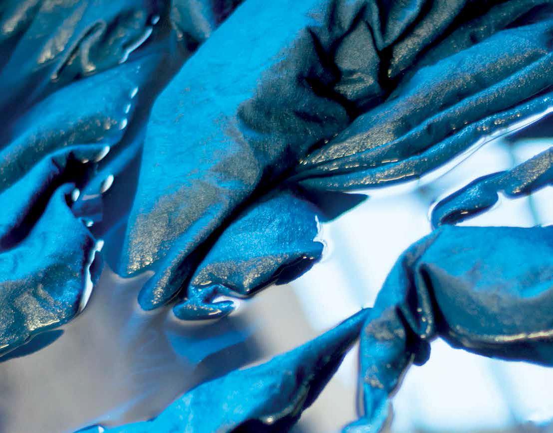 BLEU DE LECTOURE D.R