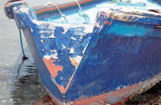 BARQUE BLEUE, AMD