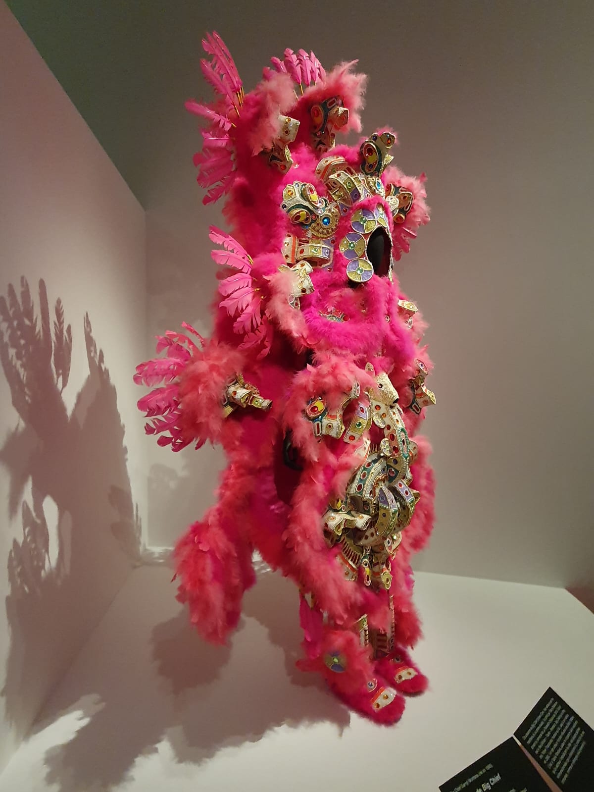 Costume de carnaval